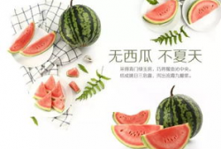吃瓜网站爆料潍坊跳舞,吃瓜网站揭秘当地舞坛风云