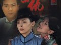 家仇电视剧,复仇之路，家族恩怨的悲歌