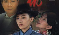 家仇电视剧,复仇之路，家族恩怨的悲歌