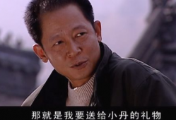 电视剧王志文,演绎人生百态，诠释时代变迁