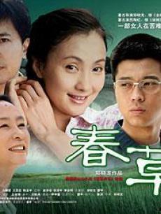 春草电视剧,岁月流转中的青春记忆
