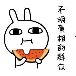 娱乐吃瓜酱学单词,娱乐吃瓜酱带你轻松学单词